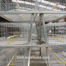 Intelligent breeding equipment special egg layer chicken cage